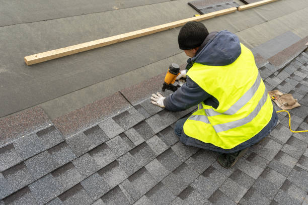 Best Shingle Roofing Installation  in , AK